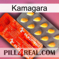 Kamagara new01